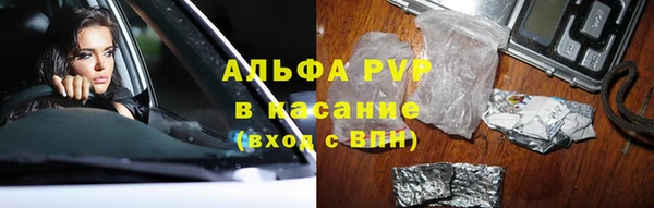 МДПВ Каменка