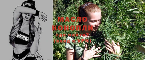 индика Каменск-Шахтинский