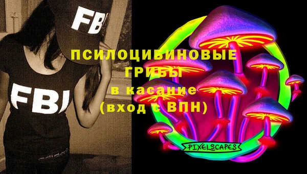 индика Каменск-Шахтинский
