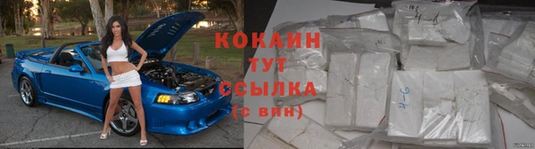 МДПВ Каменка