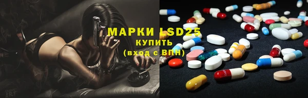индика Каменск-Шахтинский