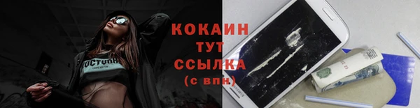 индика Каменск-Шахтинский