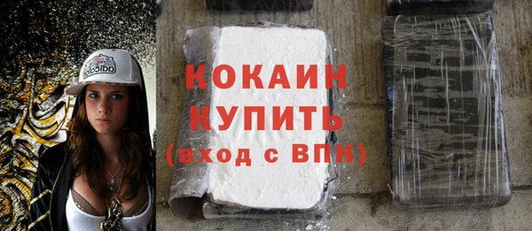 МДПВ Каменка