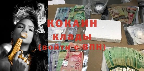МДПВ Каменка