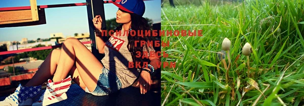 MDMA Premium VHQ Каменногорск