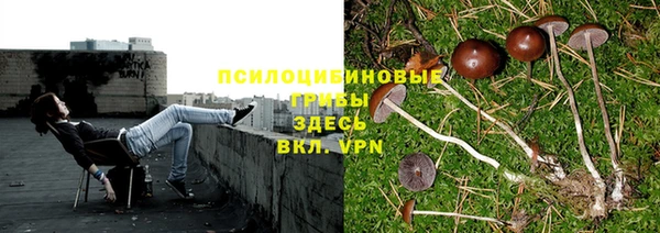 МДПВ Каменка