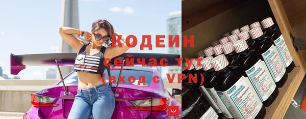 индика Каменск-Шахтинский