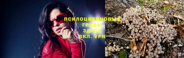 индика Каменск-Шахтинский
